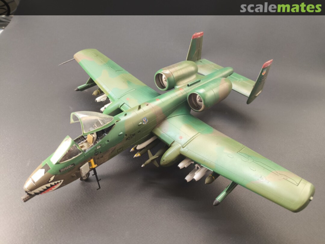 View album, image #1