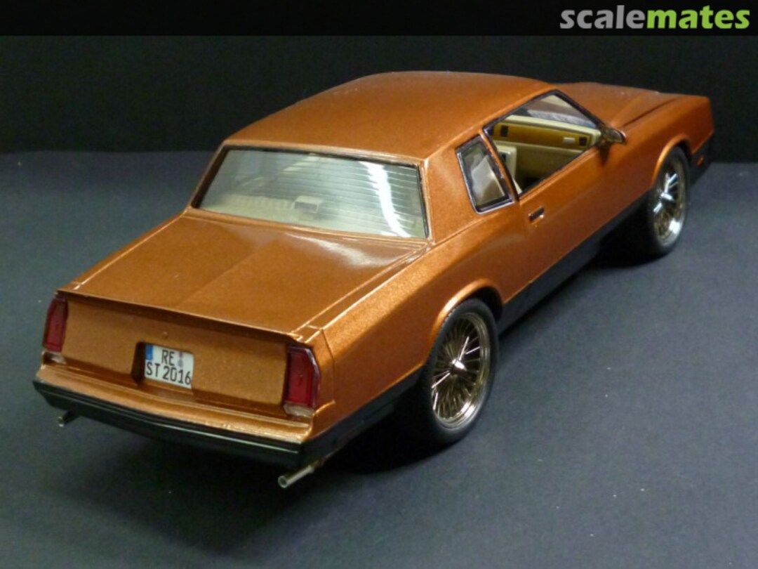 View album, image #11