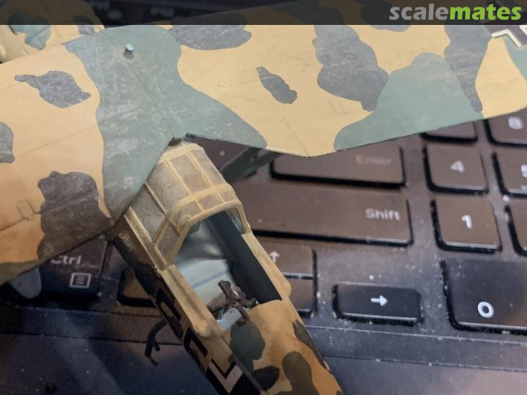 View album, image #1