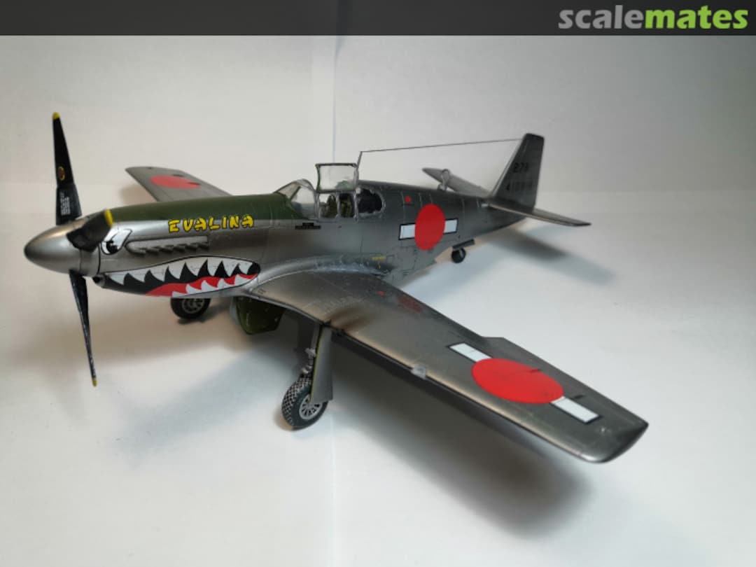 View album, image #1 View album, image #1