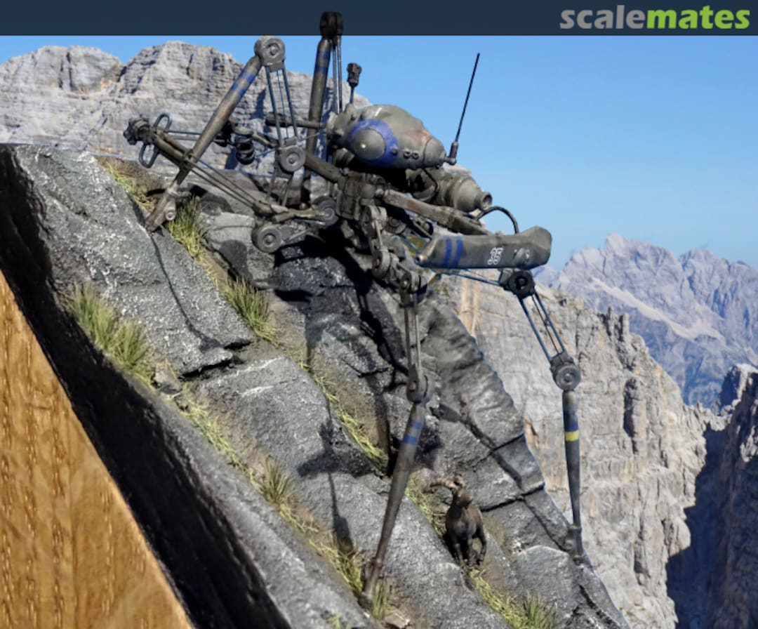 View album, image #42