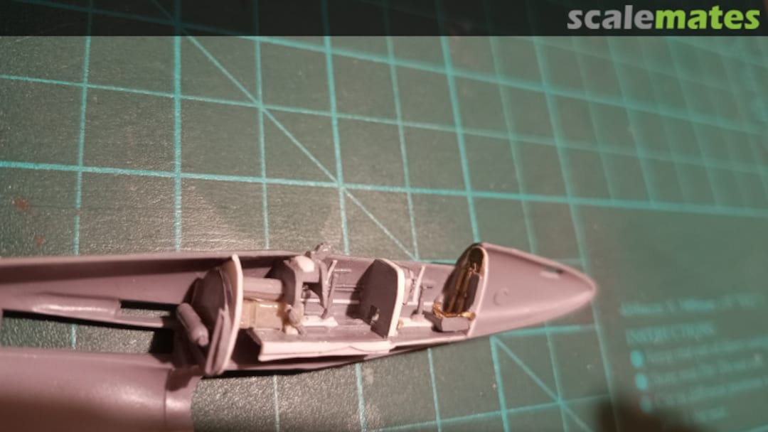 View album, image #1 View album, image #1