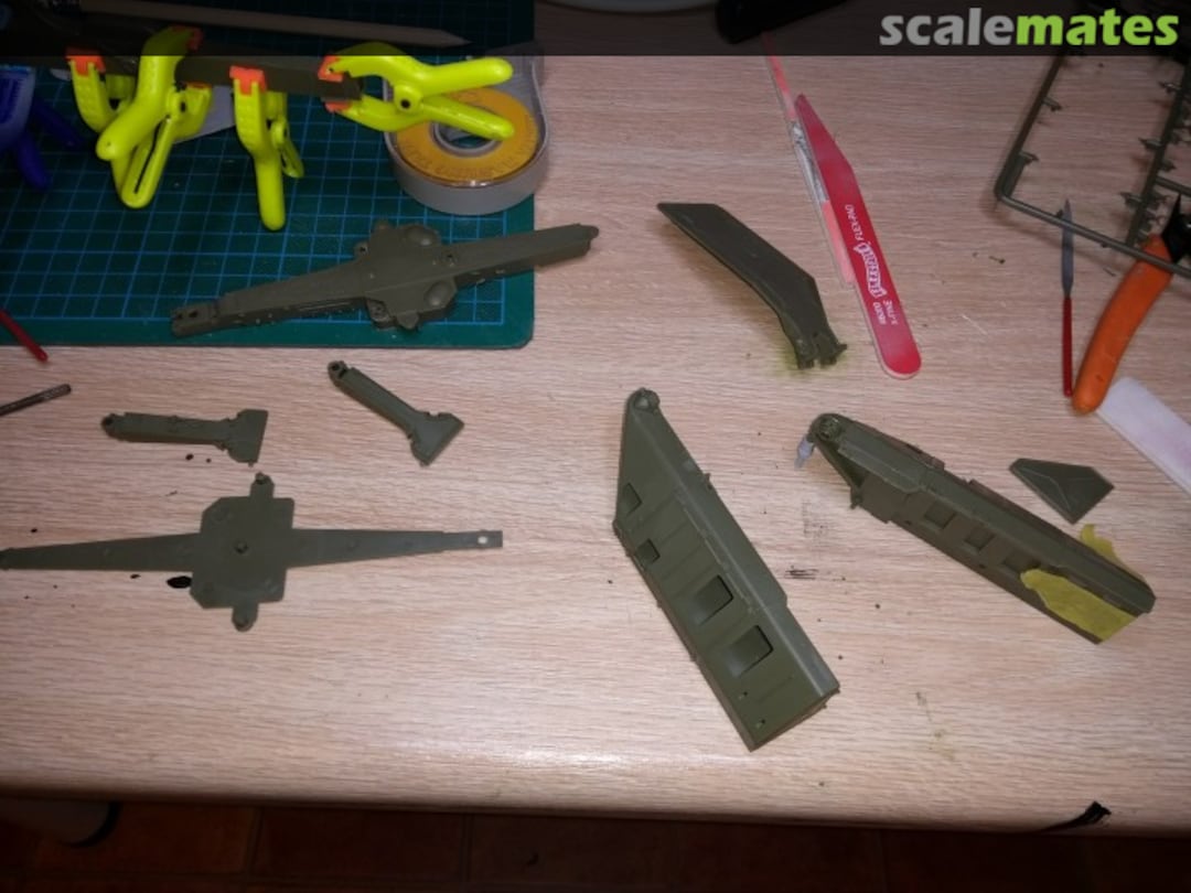 View album, image #1 View album, image #1