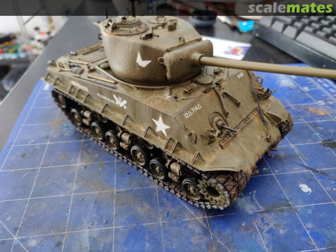 View album, image #1 View album, image #1