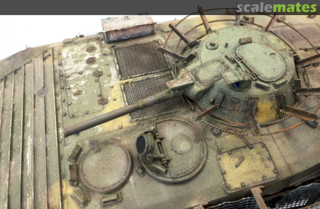 View album, image #1 View album, image #1