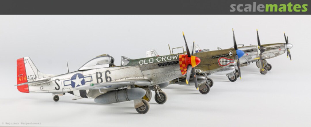 View album, image #40 View album, image #40