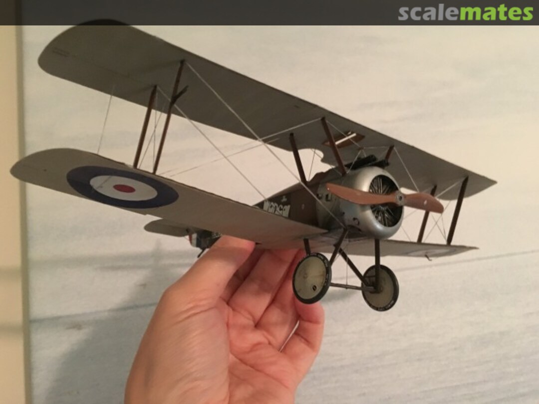 View album, image #47 View album, image #47