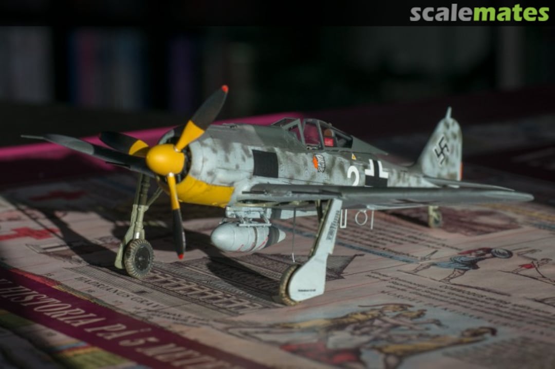 View album, image #1 View album, image #1