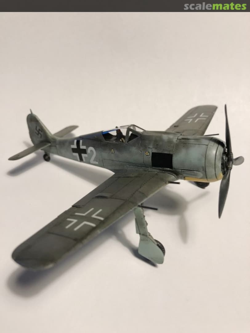 View album, image #1 View album, image #1