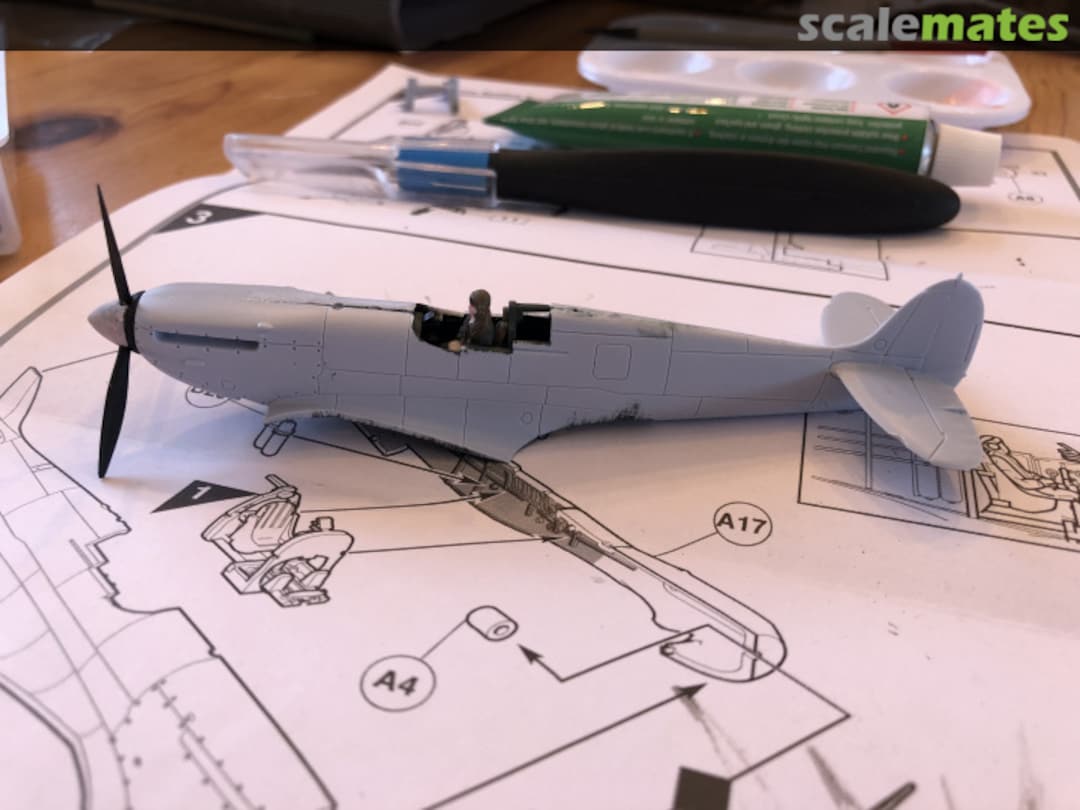 View album, image #1 View album, image #1