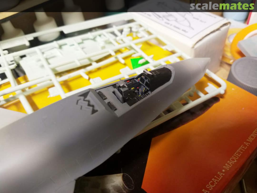 View album, image #1 View album, image #1