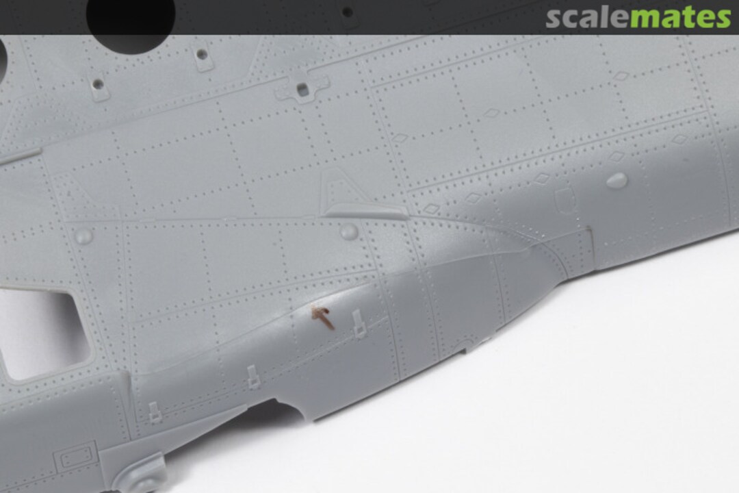 View album, image #1