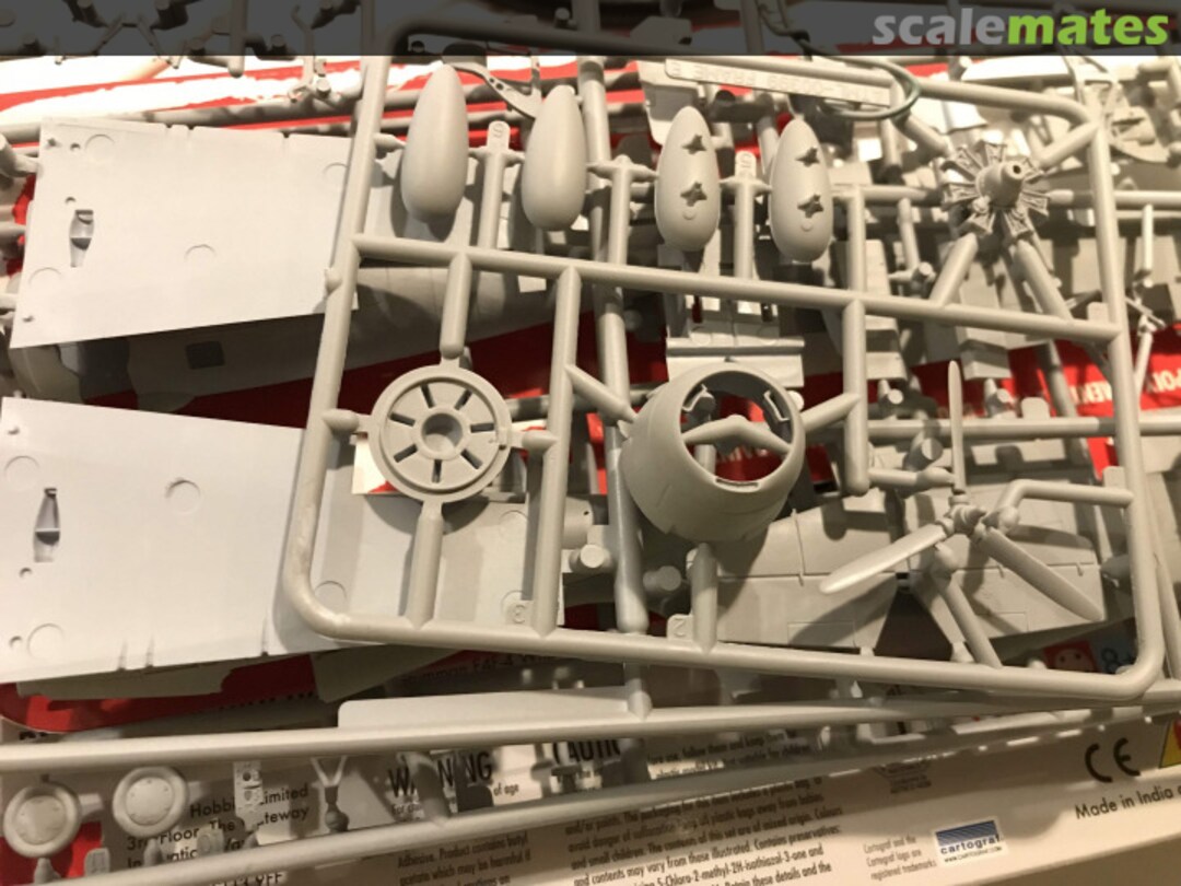 View album, image #1