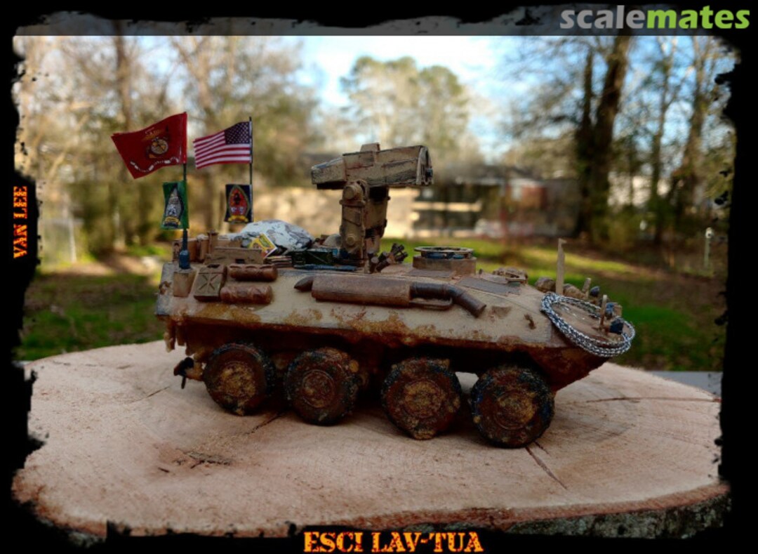 View album, image #1 View album, image #1