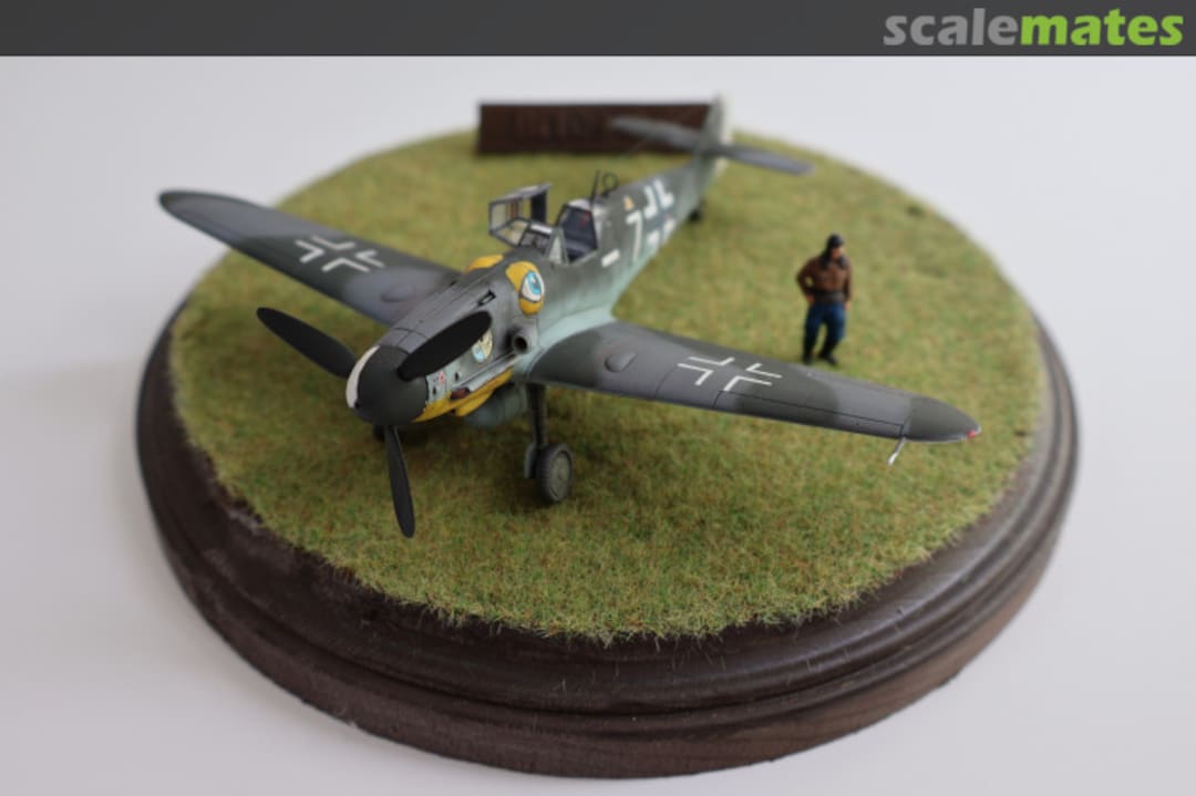 View album, image #24 View album, image #24