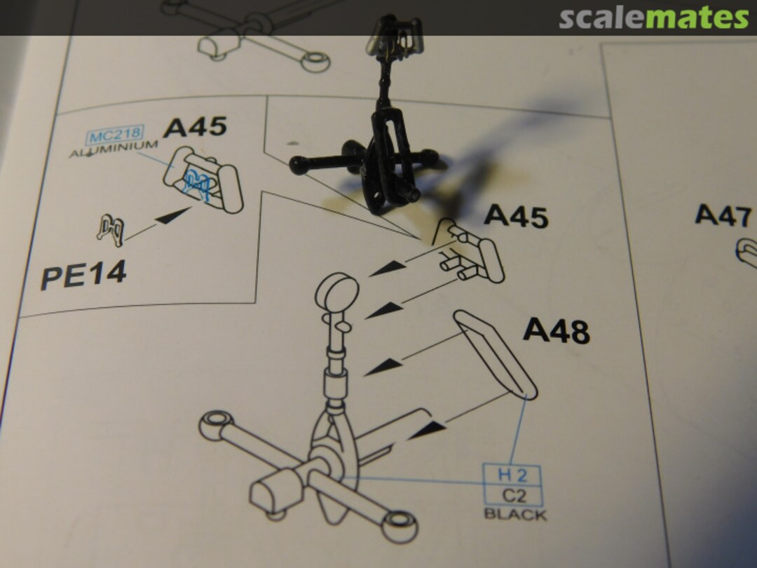 View album, image #1 View album, image #1