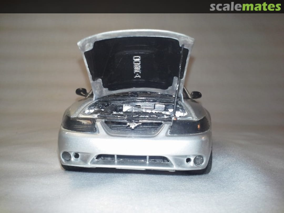 View album, image #1 View album, image #1