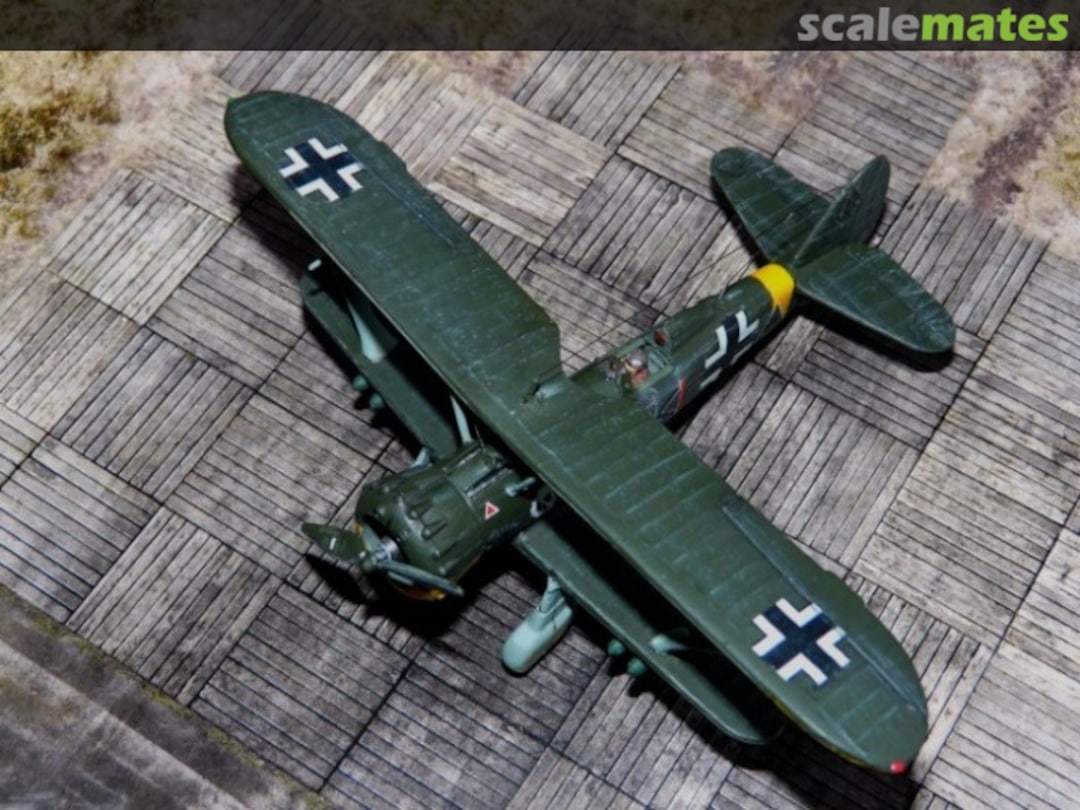 View album, image #5 View album, image #5