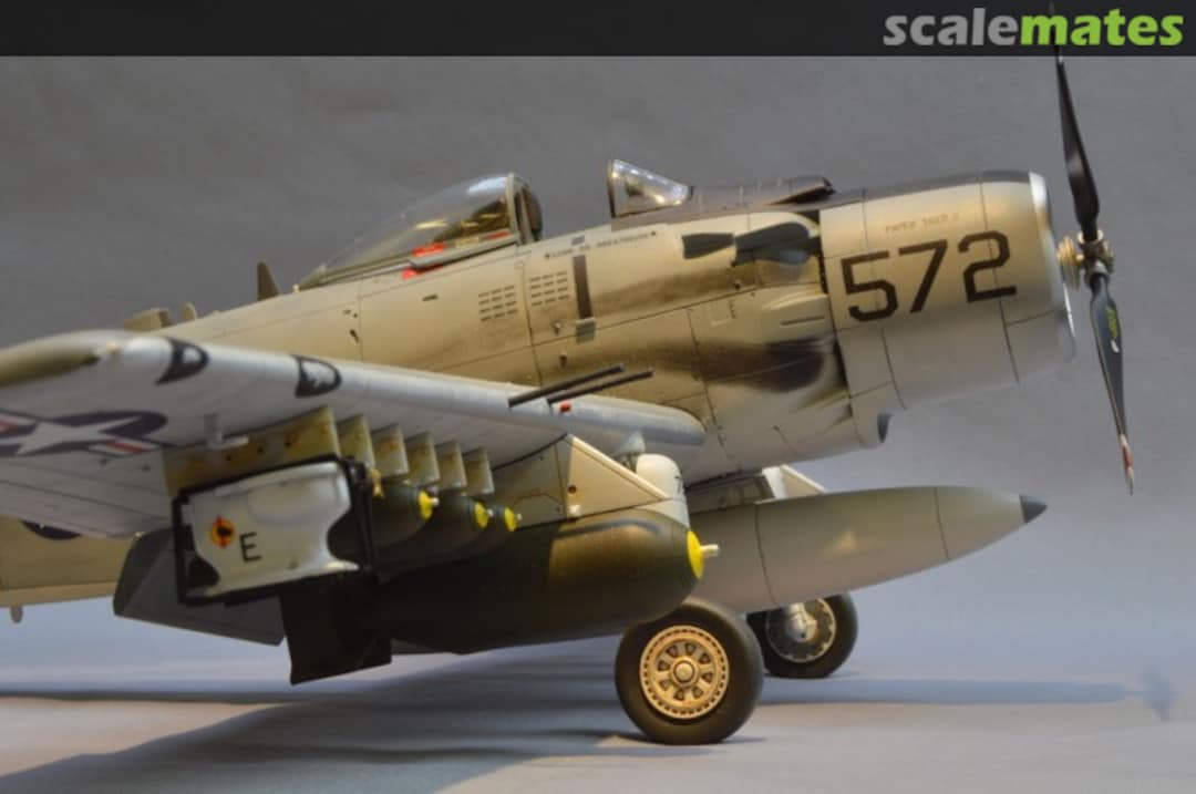 View album, image #1 View album, image #1