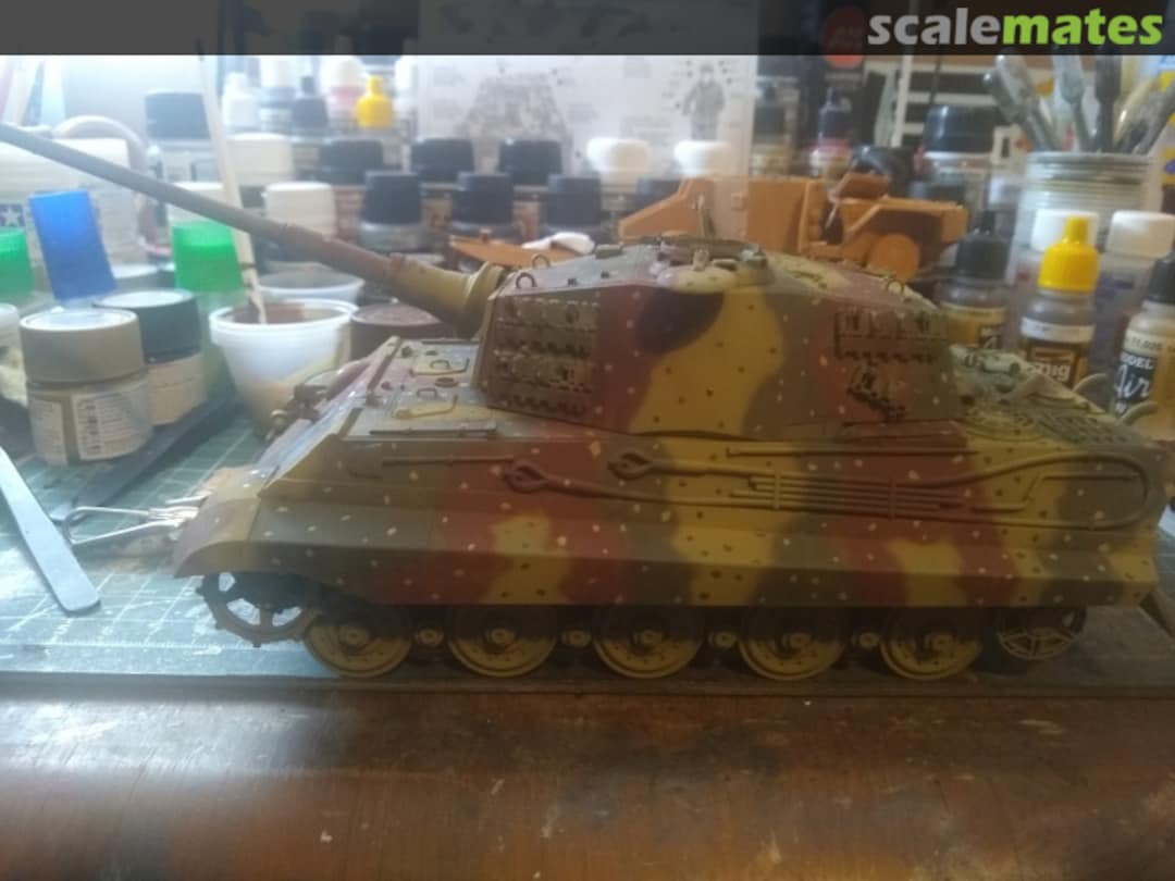 View album, image #1 View album, image #1