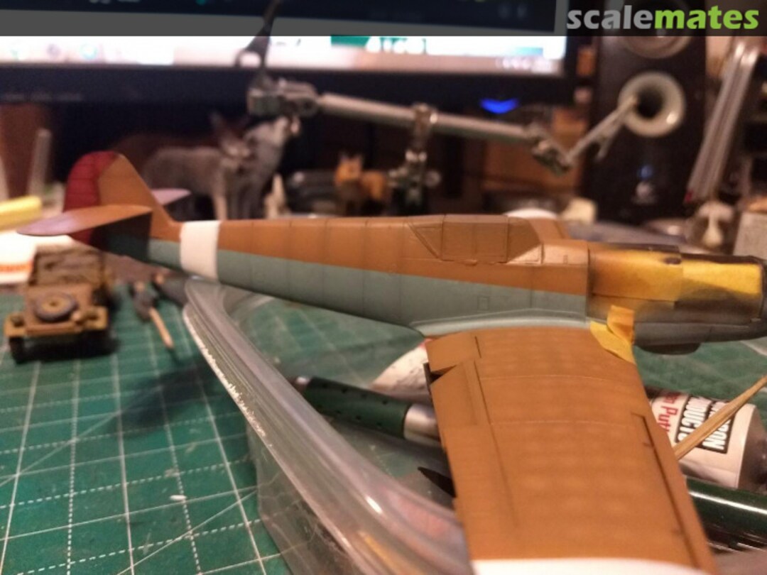 View album, image #1 View album, image #1