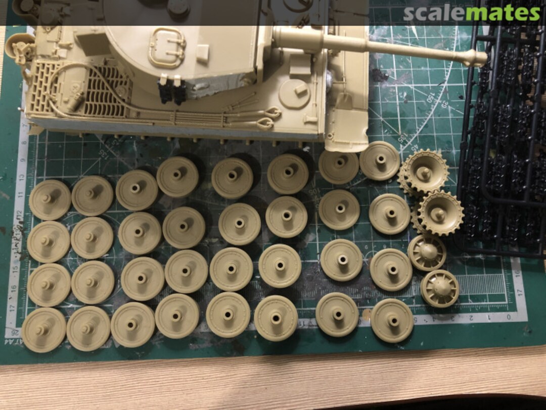 View album, image #1 View album, image #1