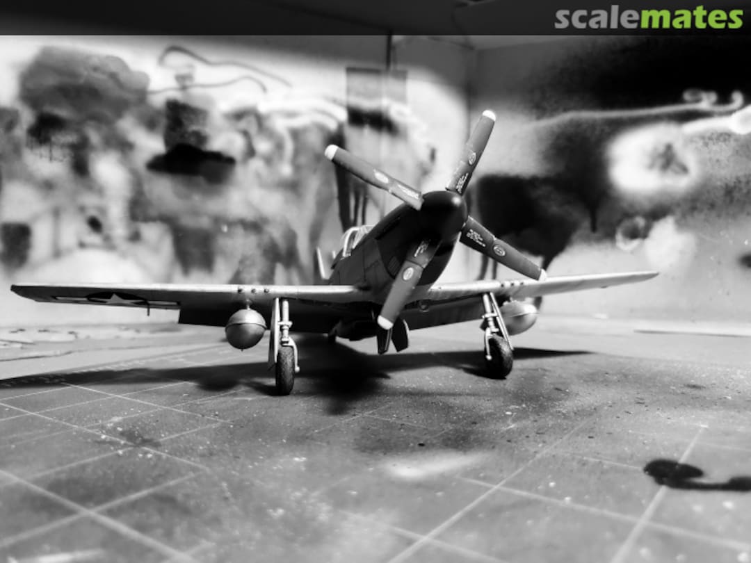 View album, image #1