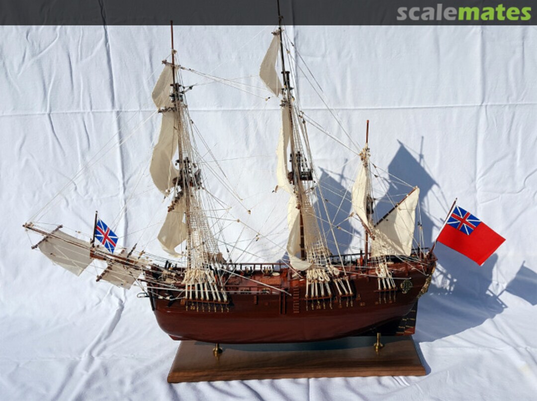 View album, image #1