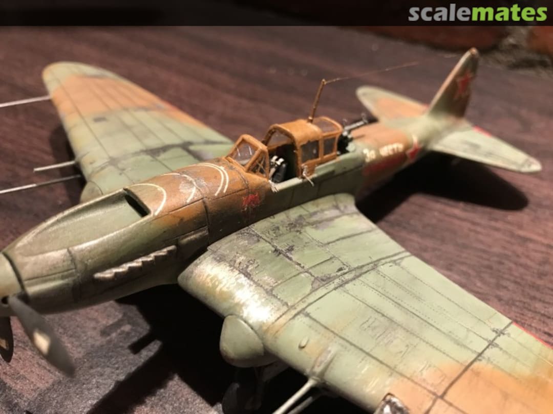 View album, image #11 View album, image #11