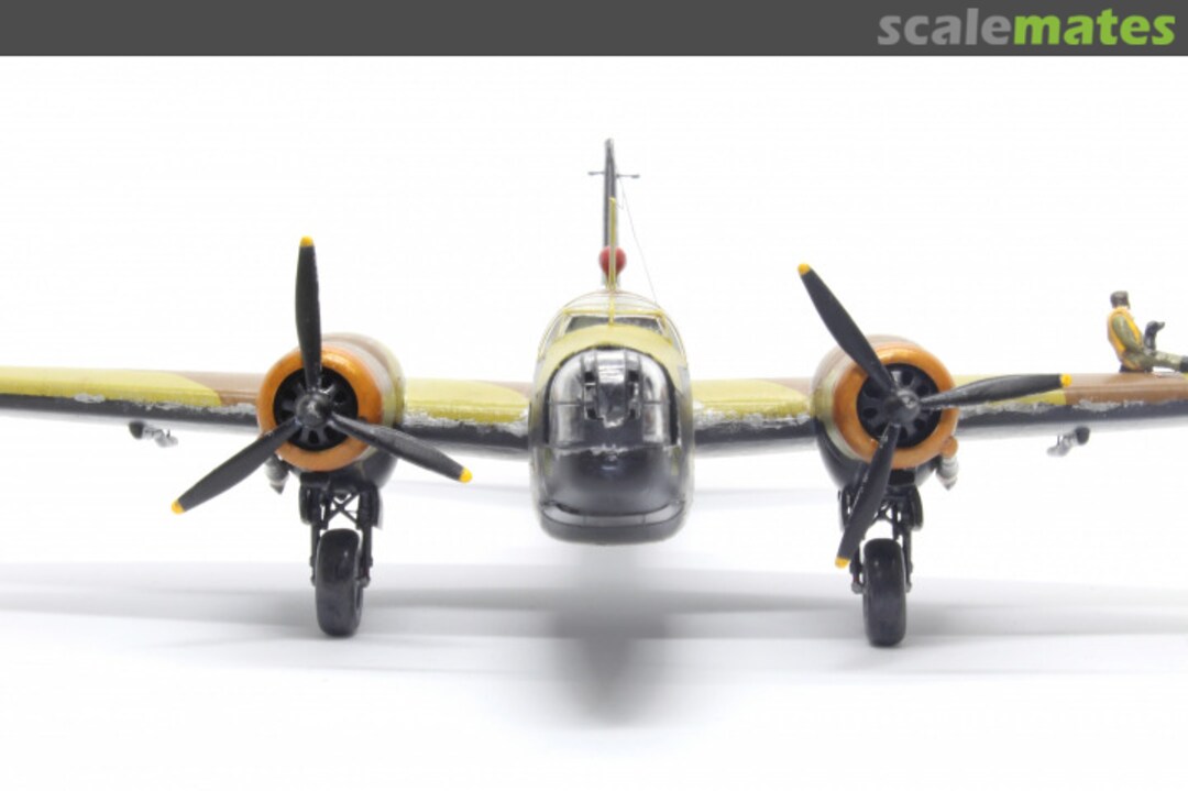 View album, image #1 View album, image #1