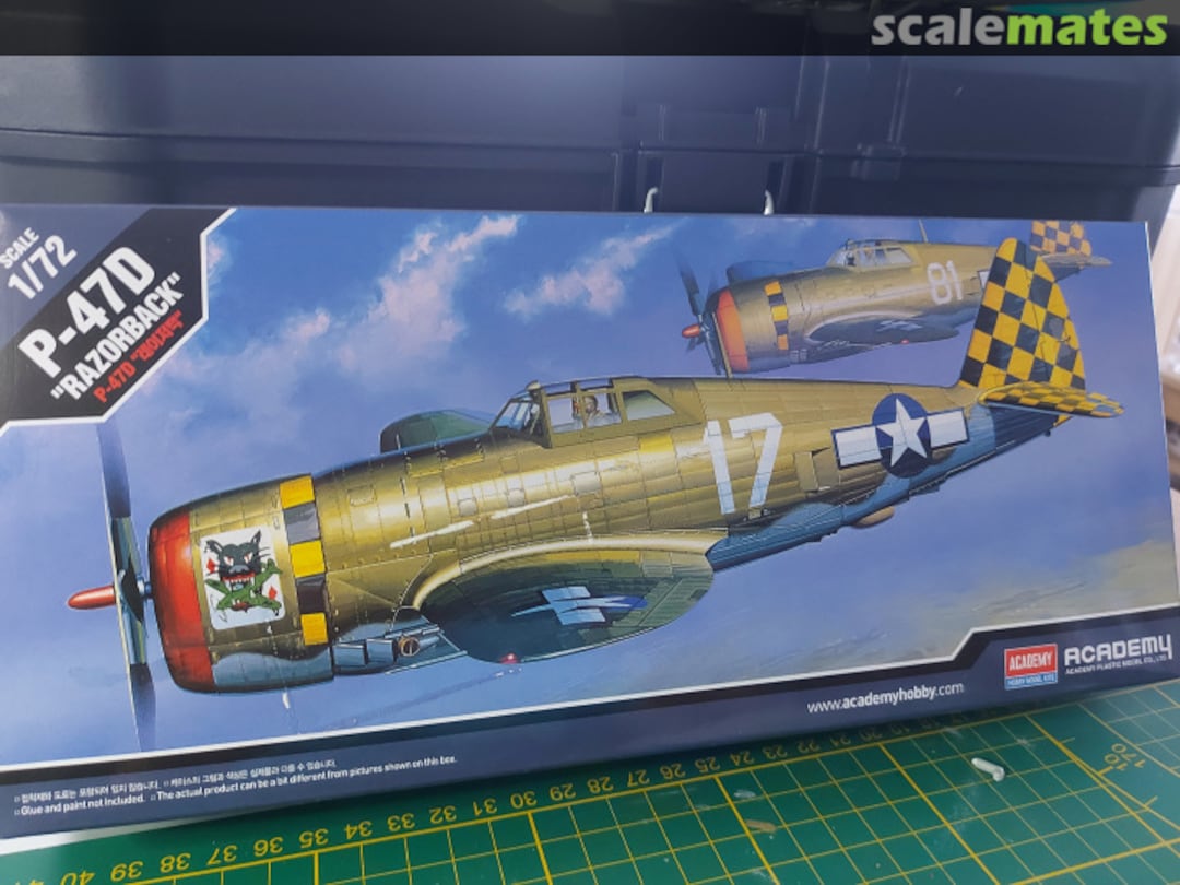 View album, image #1