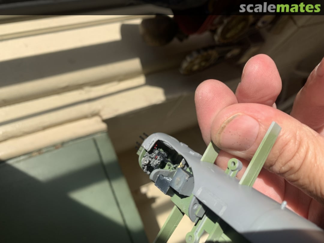 View album, image #1