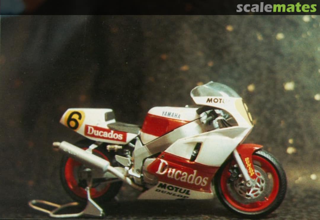 View album, image #1