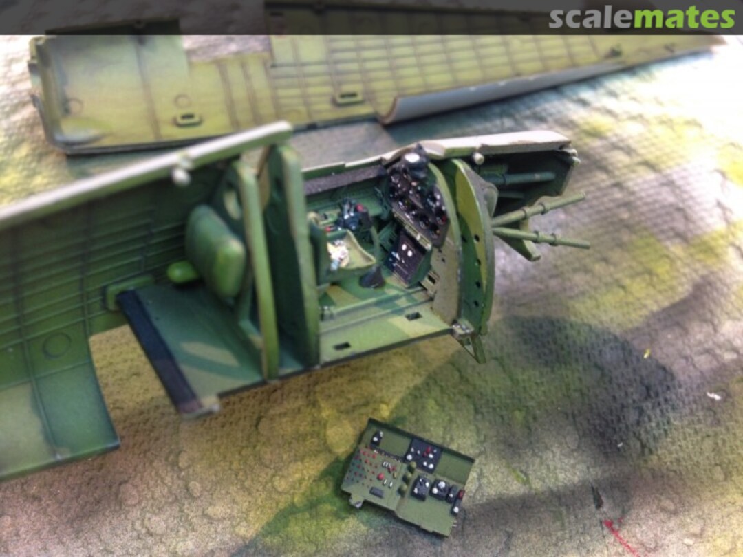 View album, image #6