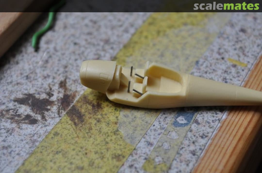 View album, image #1 View album, image #1