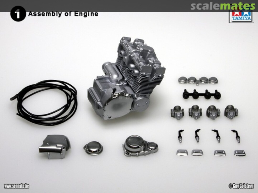 View album, image #1 View album, image #1