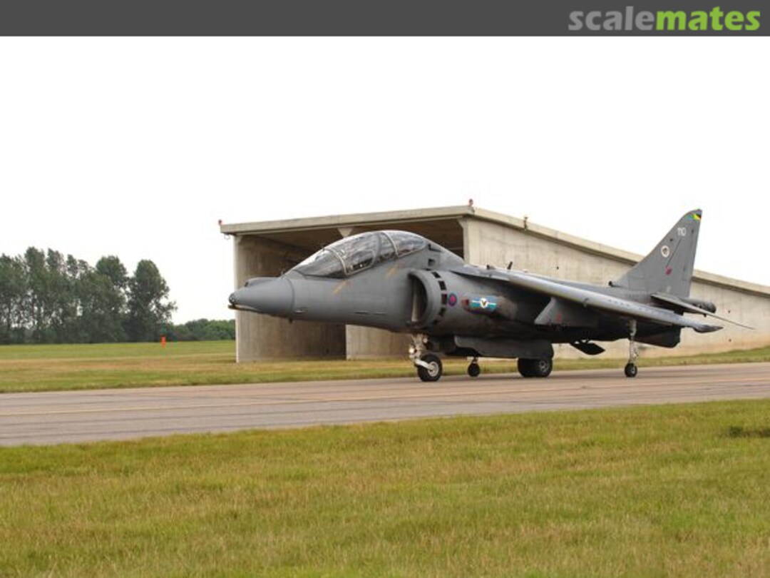 View album, image #2 View album, image #2