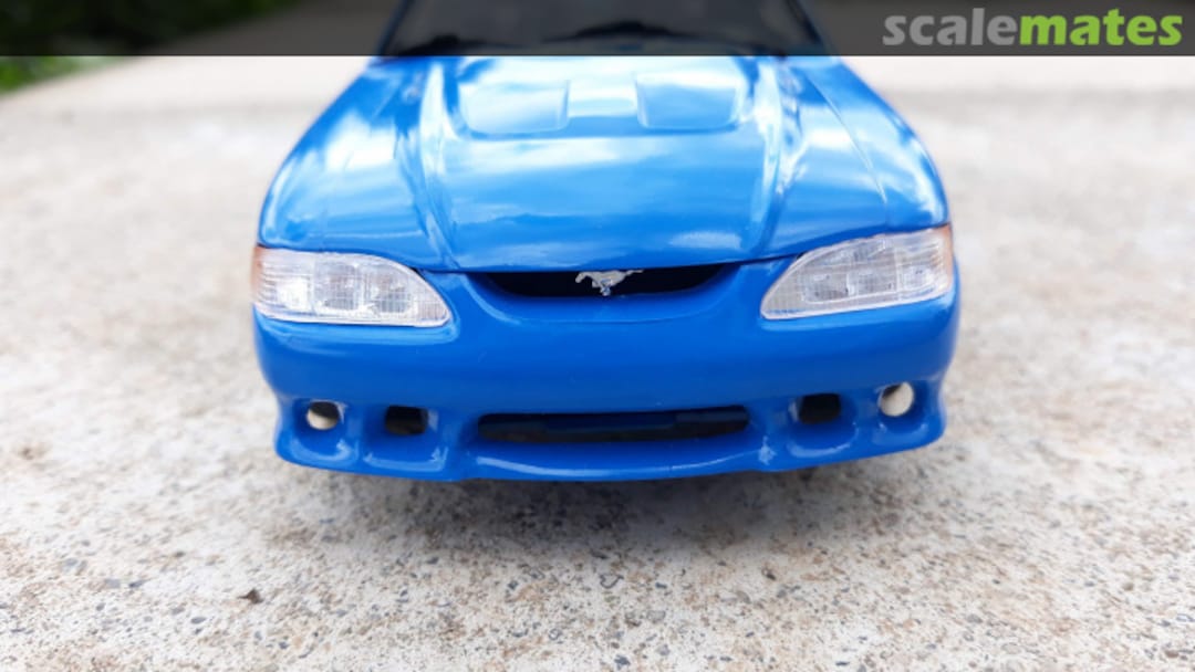 View album, image #5 View album, image #5