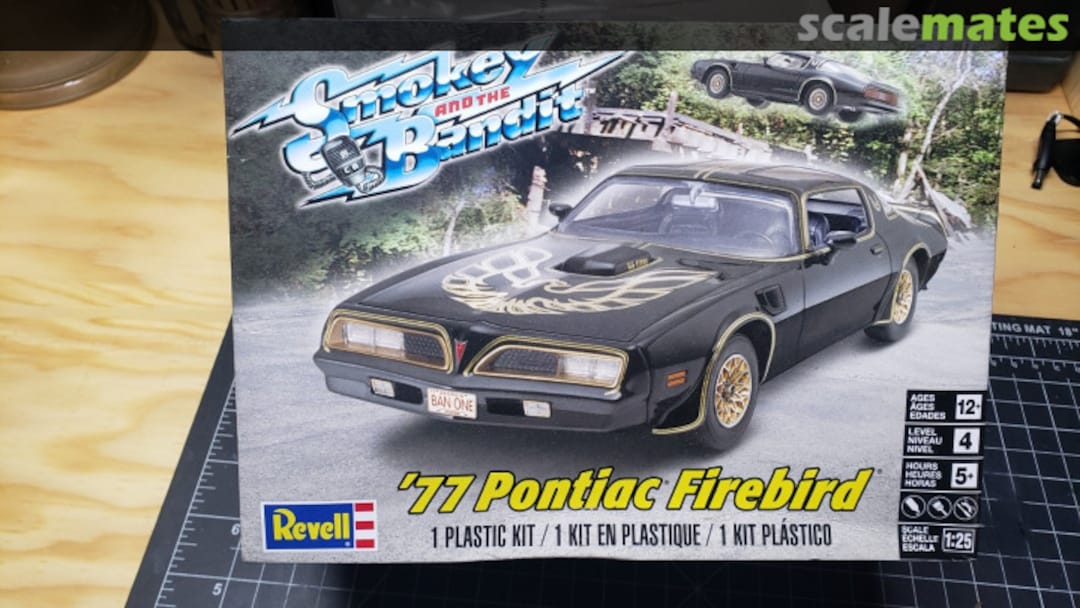 View album, image #1 View album, image #1