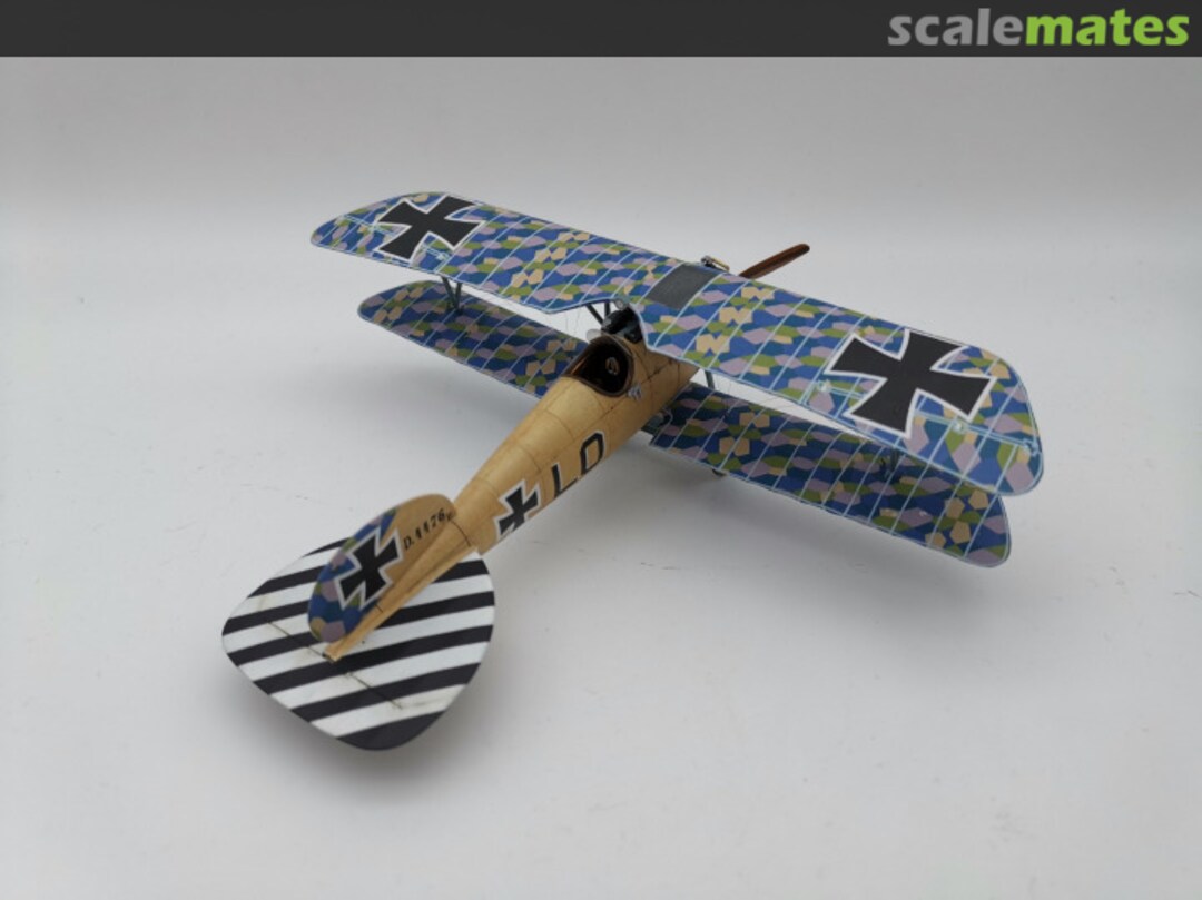 View album, image #10 View album, image #10