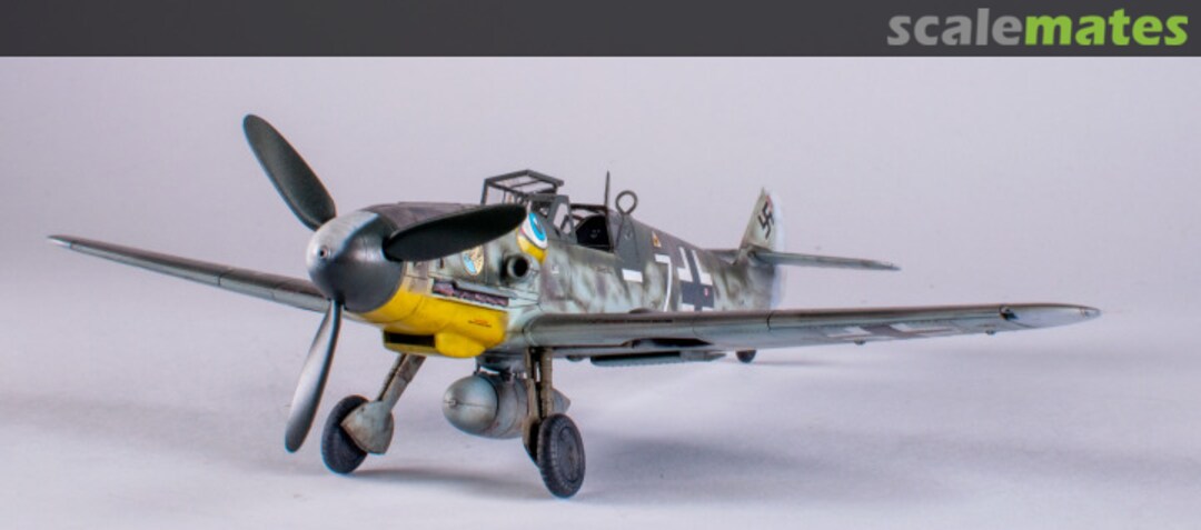 View album, image #1 View album, image #1