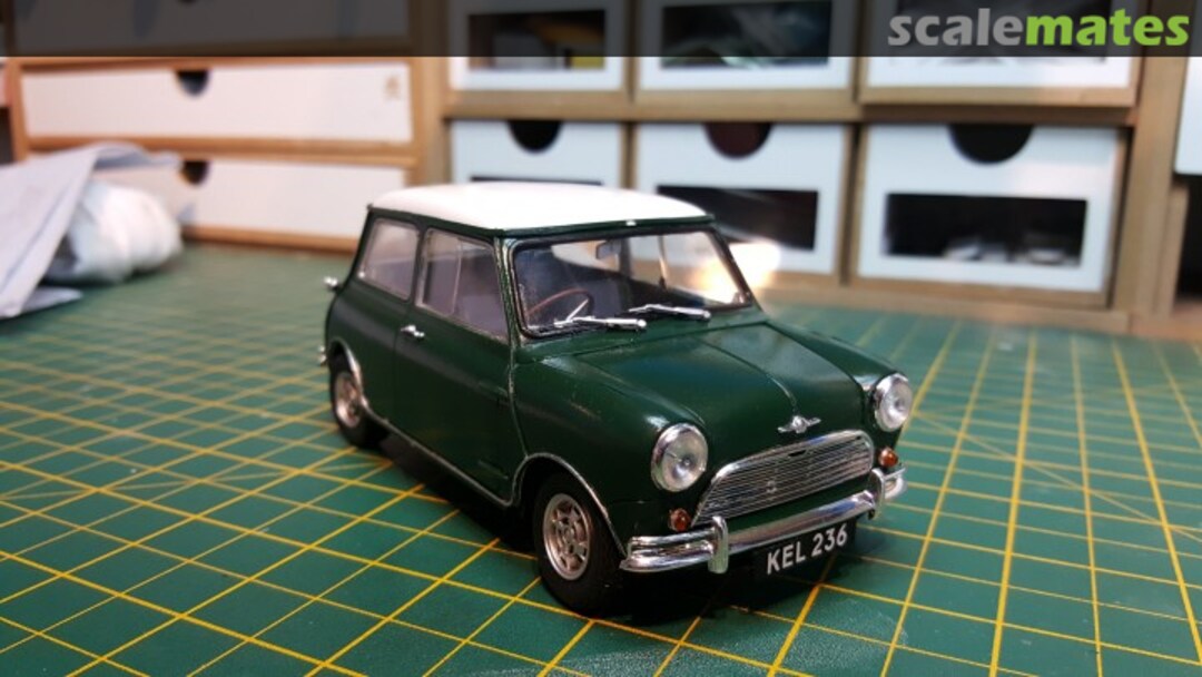 View album, image #1 View album, image #1