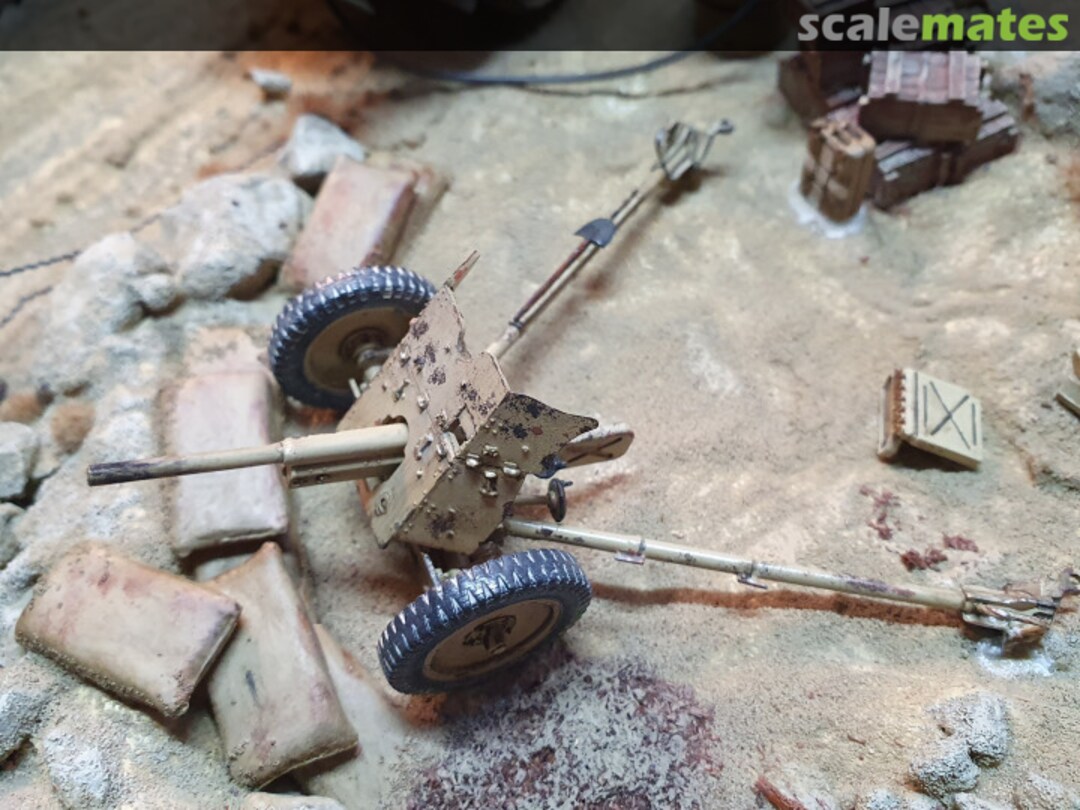 View album, image #5 View album, image #5