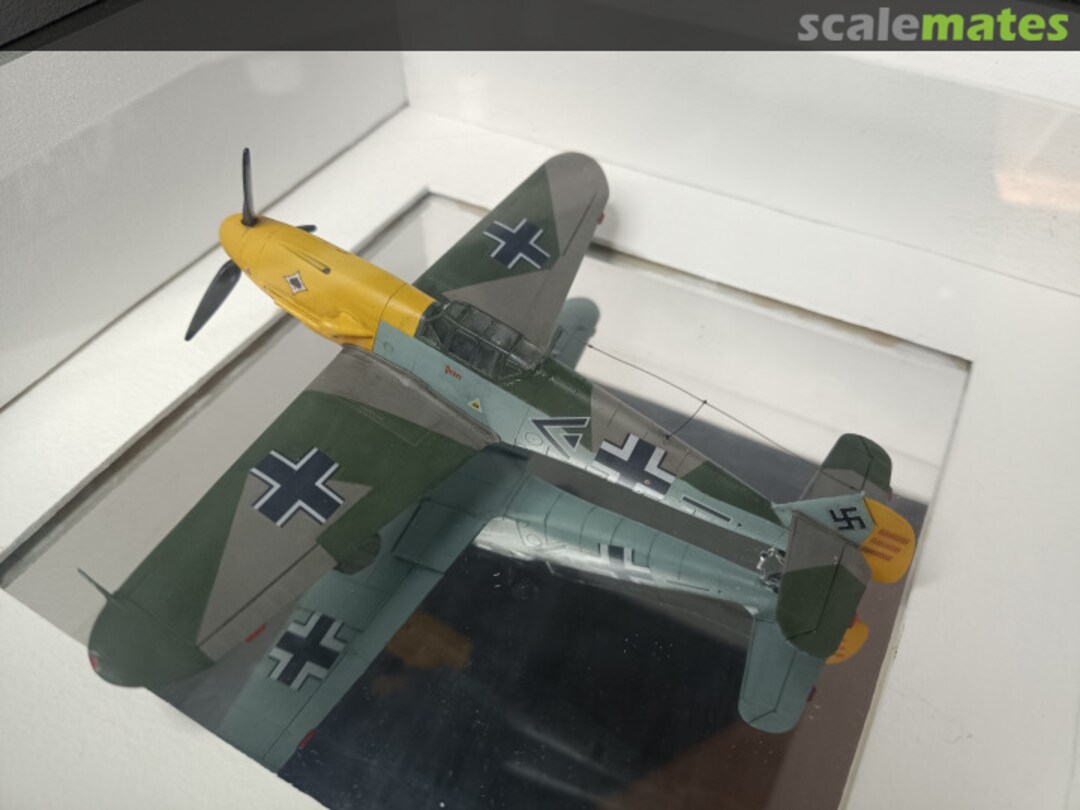 View album, image #1 View album, image #1