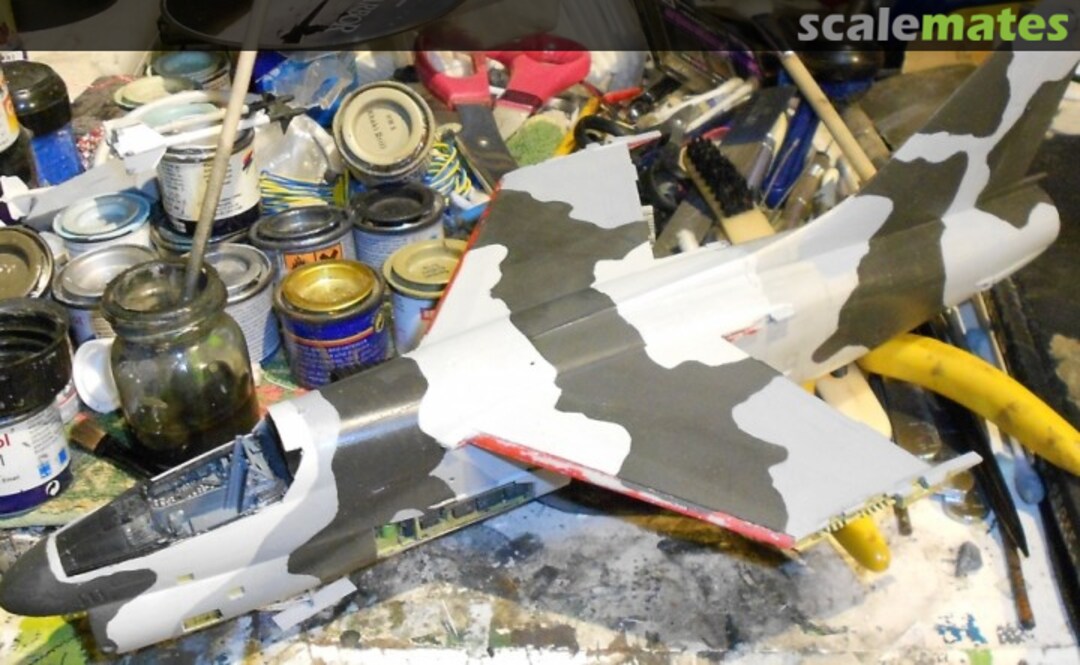 View album, image #4 View album, image #4