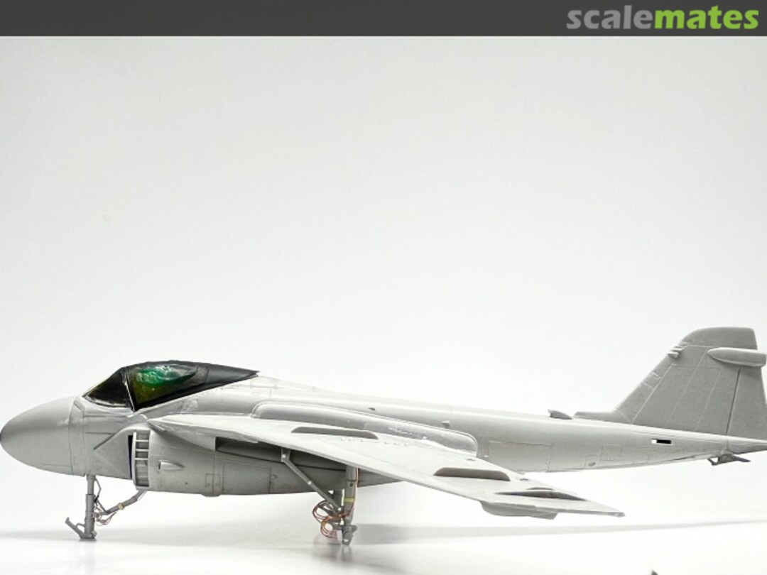 View album, image #19 View album, image #19