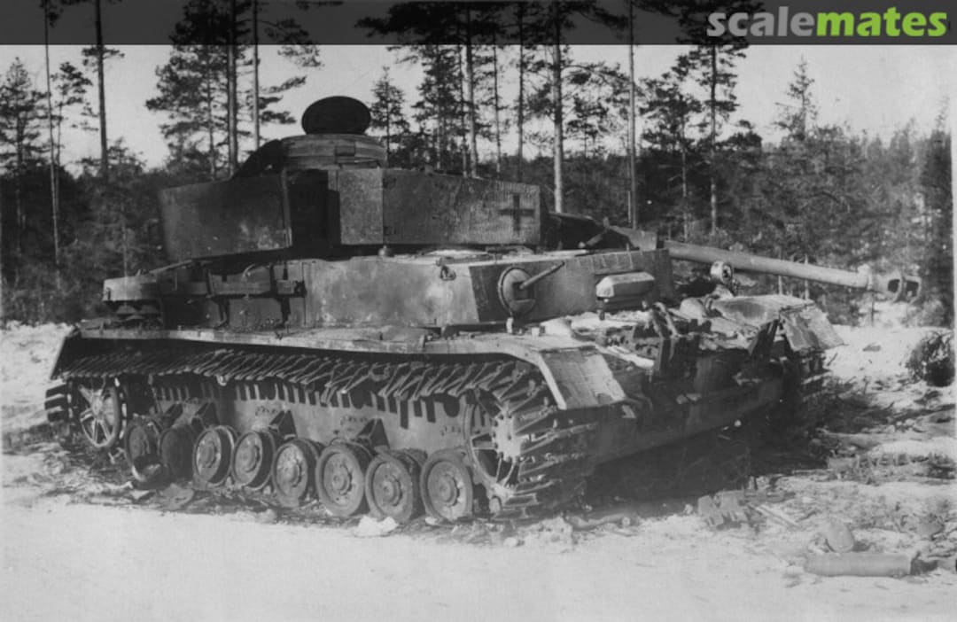 View album, image #1 View album, image #1