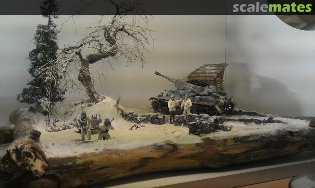 View album, image #1 View album, image #1