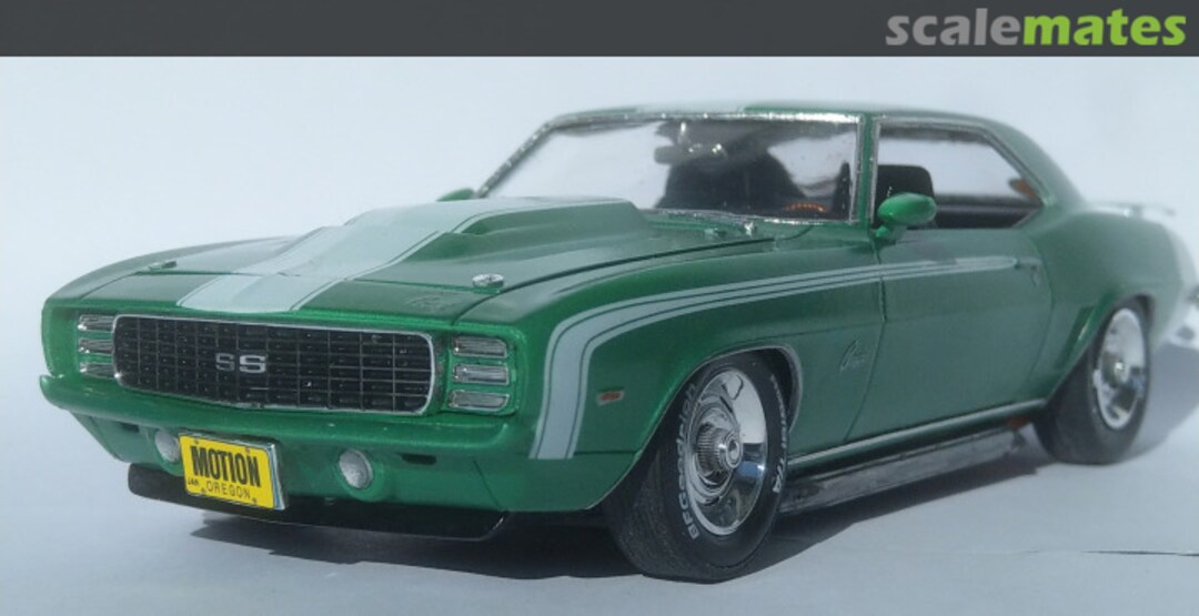 View album, image #10 View album, image #10