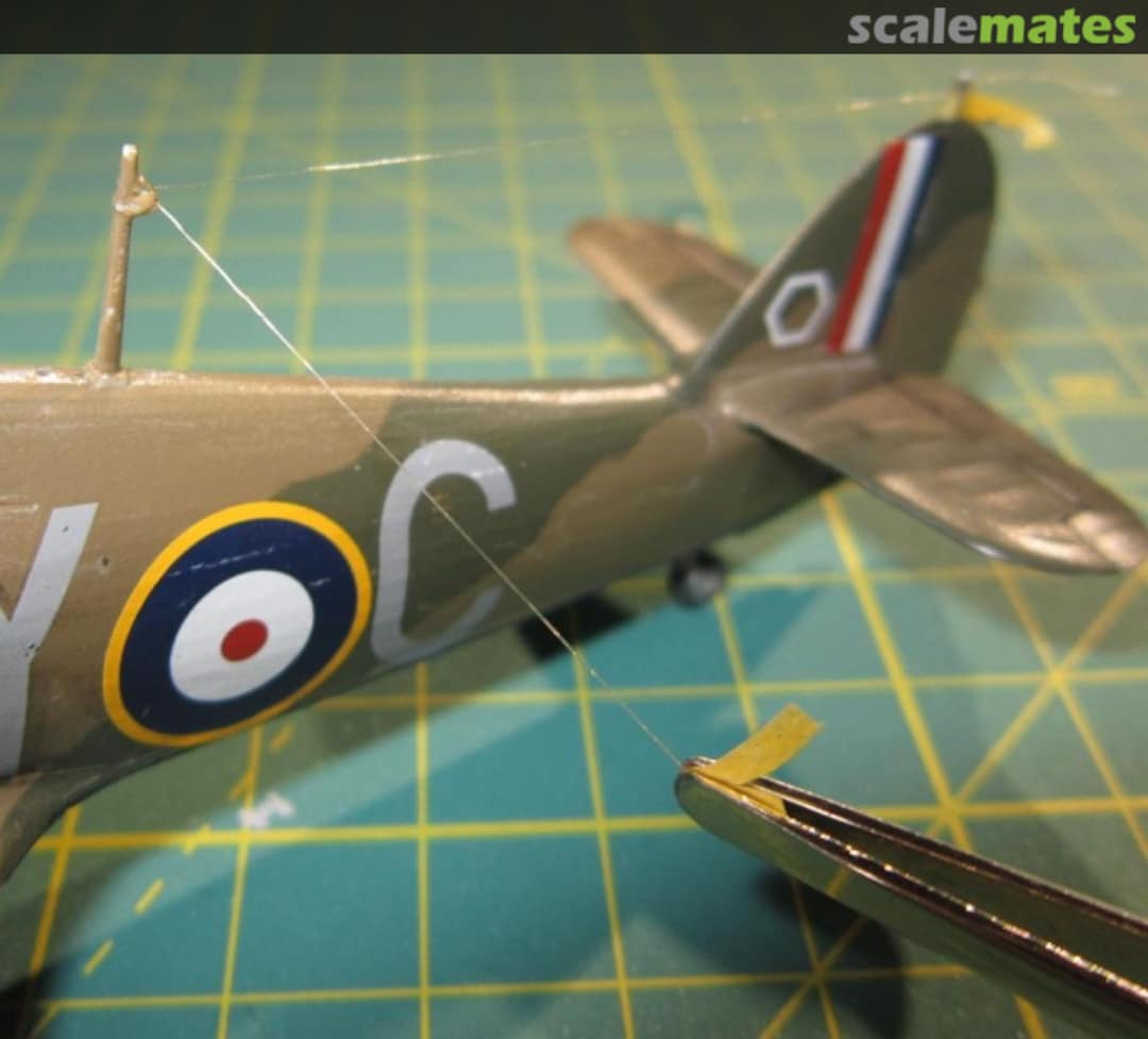 View album, image #19 View album, image #19